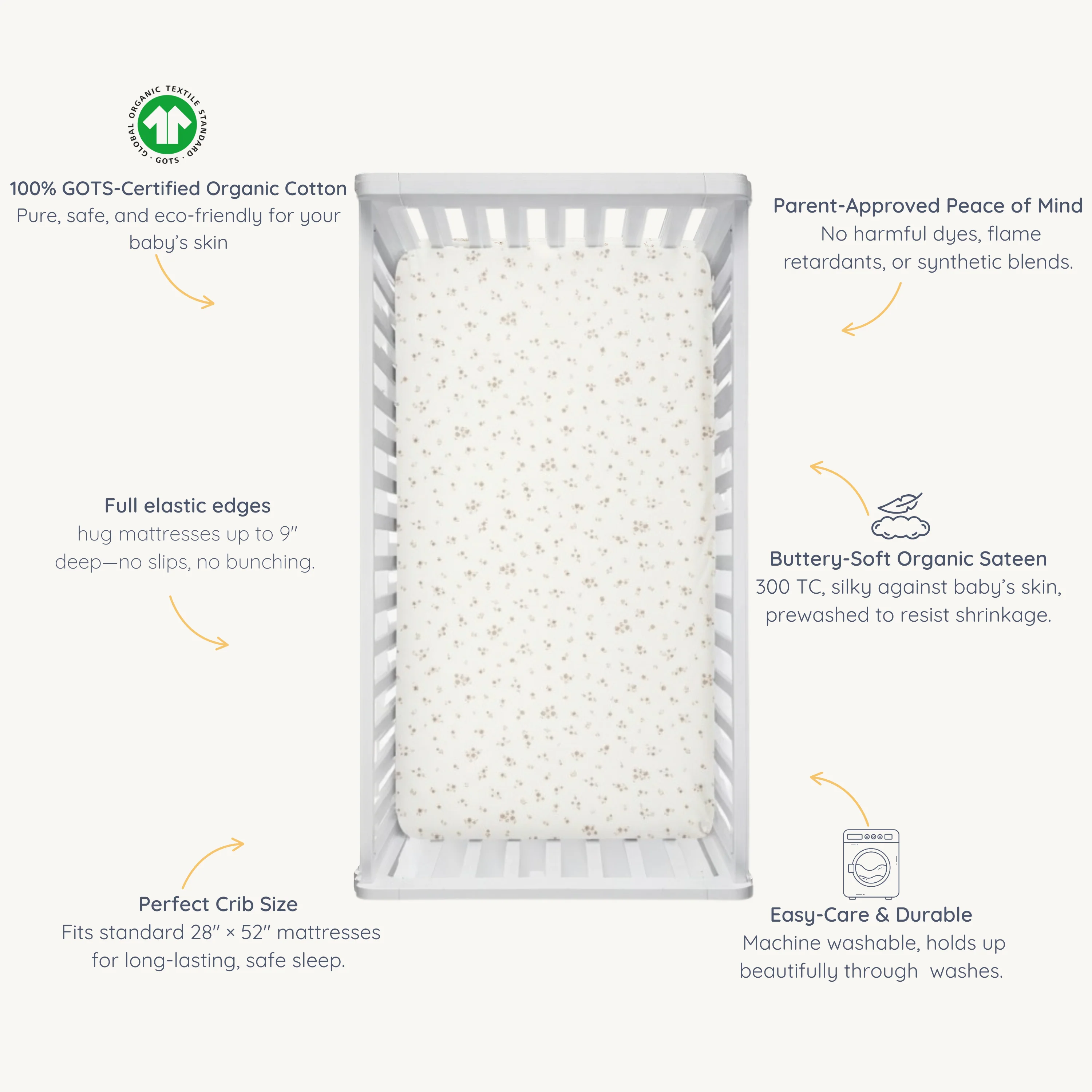 Organic Crib Sheet - Bloom - Image 7